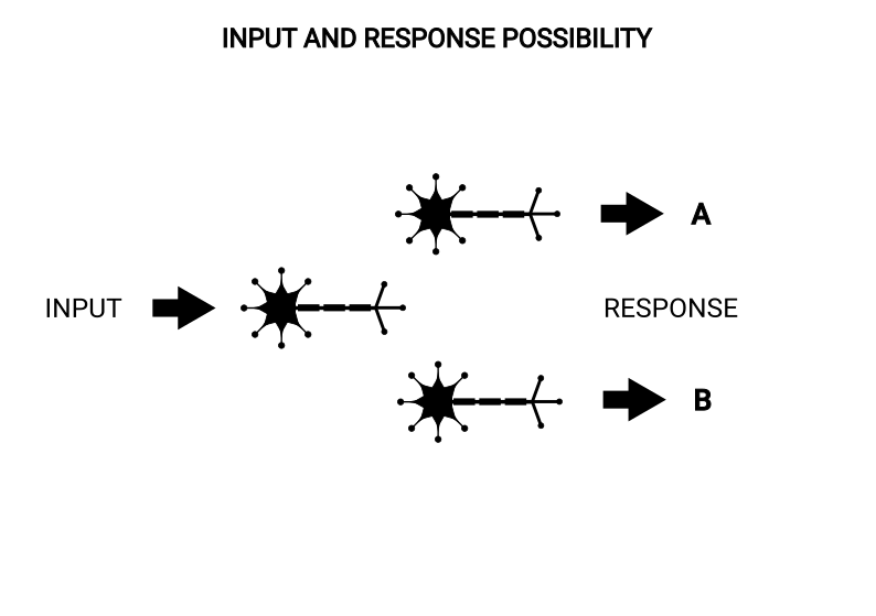 A new input with several possible responses